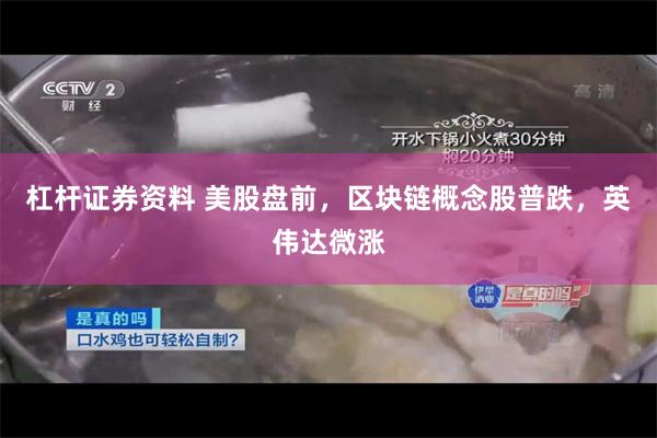 杠杆证券资料 美股盘前，区块链概念股普跌，英伟达微涨