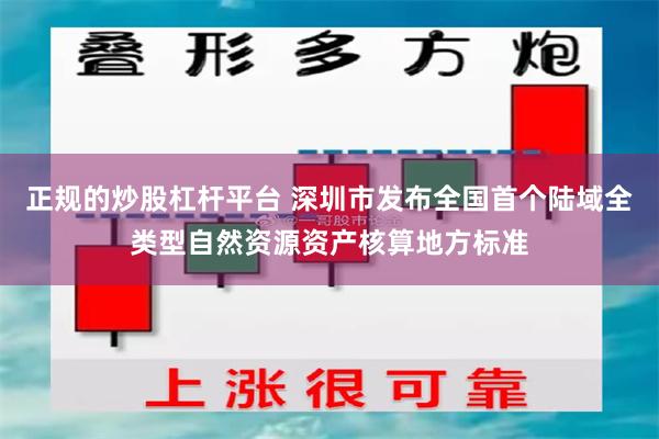 正规的炒股杠杆平台 深圳市发布全国首个陆域全类型自然资源资产核算地方标准