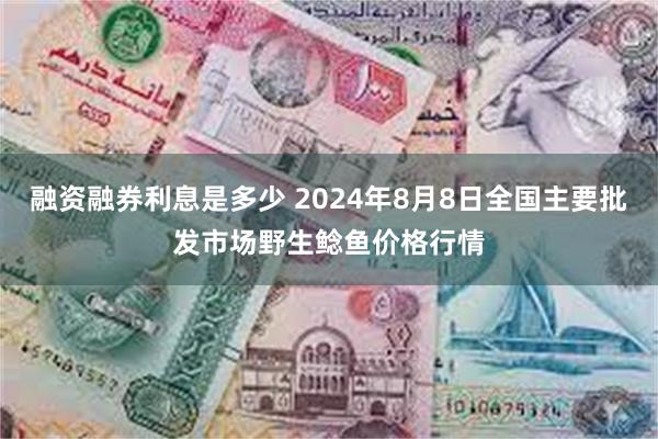 融资融券利息是多少 2024年8月8日全国主要批发市场野生鲶鱼价格行情