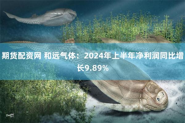 期货配资网 和远气体：2024年上半年净利润同比增长9.89%