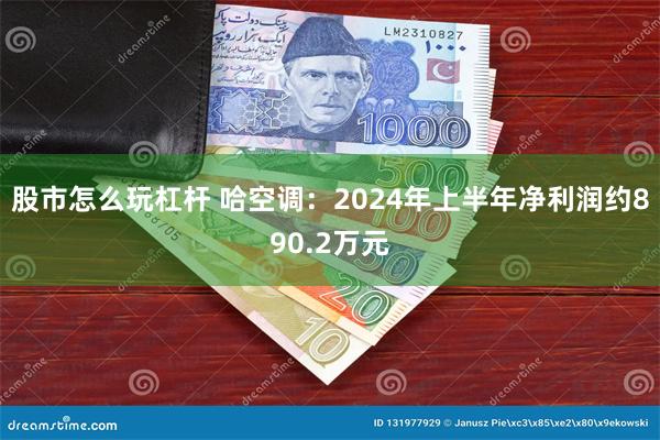 股市怎么玩杠杆 哈空调：2024年上半年净利润约890.2万元