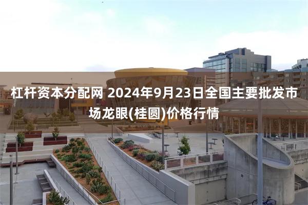 杠杆资本分配网 2024年9月23日全国主要批发市场龙眼(桂圆)价格行情