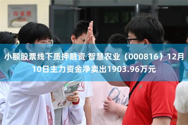 小额股票线下质押融资 智慧农业（000816）12月10日主力资金净卖出1903.96万元