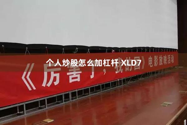 个人炒股怎么加杠杆 XLD7