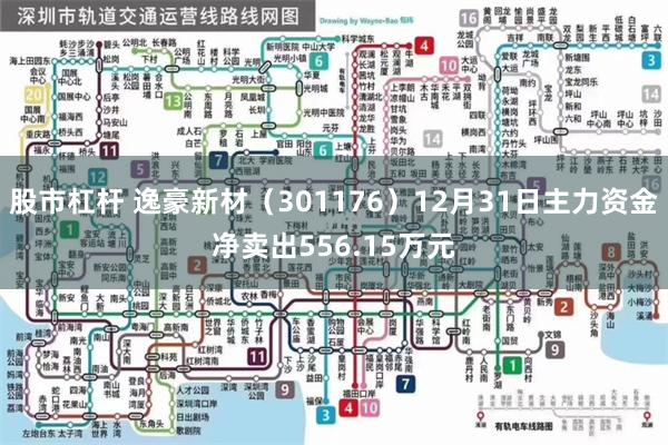 股市杠杆 逸豪新材（301176）12月31日主力资金净卖出556.15万元